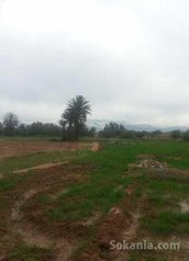 Vente Terrain à km 23 route de Ouarzazate