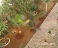 Appartement de 74m² a vendre al qodes