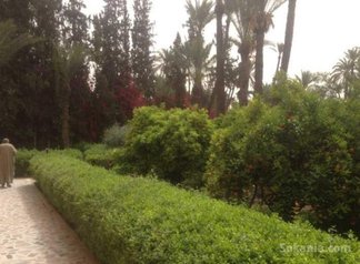 Villa a vendre a marrakech ourika 100million