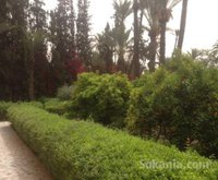 Villa a vendre a marrakech ourika 100million