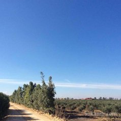 Ferme à vendre à oulad ziane