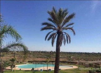 Vente appartement meublé palmeraie