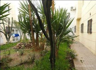 APPARTEMENT A VENDRE A AMSERNAT