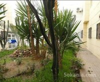 APPARTEMENT A VENDRE A AMSERNAT