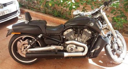 Harley davidson