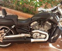 harley davidson