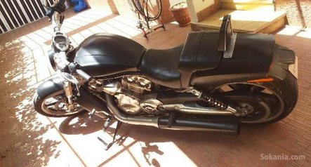 Harley davidson