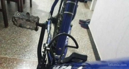 Vélo Alpina Univega Aluminium
