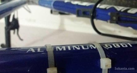 Vélo Alpina Univega Aluminium