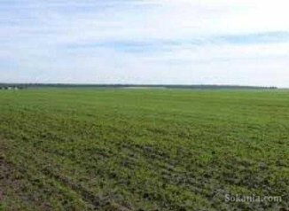 Terre agricole a tiznit avec surface de 680Hect