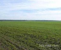 Terre agricole a tiznit avec surface de 680Hect