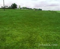 Terrain de 7 hectares à Tnine Chtouka