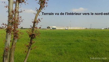 Terrain titré 1,5 ha à Lakhyayta Lassilate