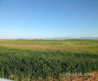 50ha titre a 30mn de marrakech