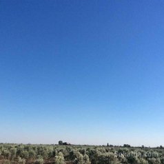 Ferme de 36 ha à 6 km de mediouna