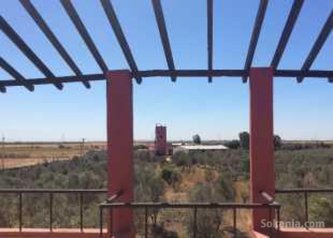 Ferme de 36 ha à 6 km de mediouna