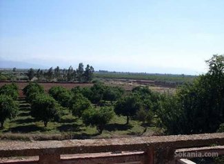 Marrakech A vendre ferme titrée de 7 hectares