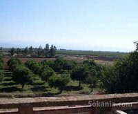 Marrakech A vendre ferme titrée de 7 hectares