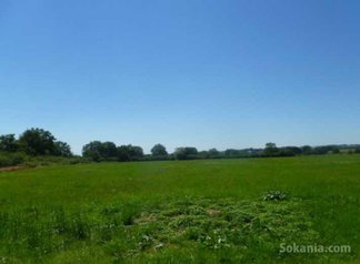 Terrains de ( 2,9527 ha ) situé benslimane