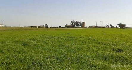 Terrains de ( 2,9527 ha ) situé benslimane