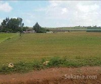Tnine Chtouka terrain à vendre 10.000 m²