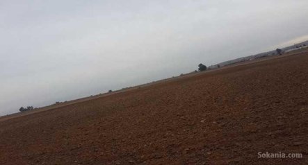Terrain agricole malk de 1,24 hectare à benslimane