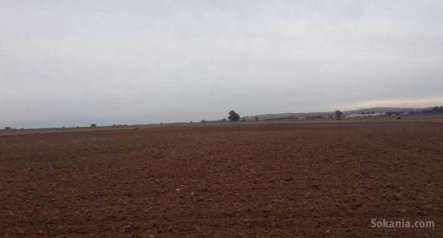 Terrain agricole malk de 1,24 hectare à benslimane