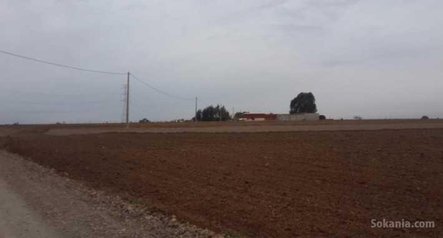 Terrain agricole malk de 1,24 hectare à benslimane