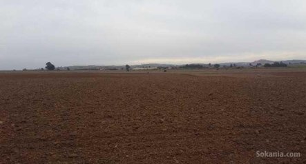 Terrain agricole malk de 1,24 hectare à benslimane