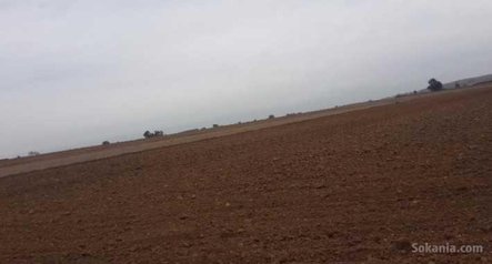 Terrain agricole malk de 1,24 hectare à benslimane