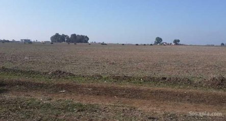 1,5 hectare titré sur route national bouznika N1