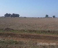 1,5 hectare titré sur route national bouznika N1