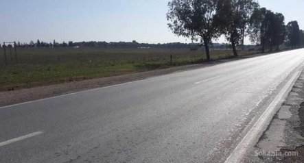 1,5 hectare titré sur route national bouznika N1