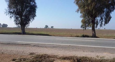 1,5 hectare titré sur route national bouznika N1