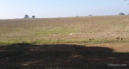 1,5 hectare titré sur route national bouznika N1