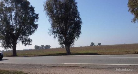 1,5 hectare titré sur route national bouznika N1