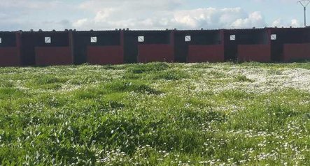 Ferme cloturée de 4 hectare à casablanca