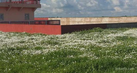 Ferme cloturée de 4 hectare à casablanca