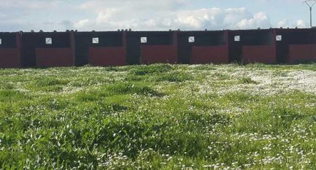 Ferme cloturée de 4 hectare à 60 Km de CASABLANCA