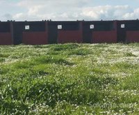 Ferme cloturée de 4 hectare à 60 Km de CASABLANCA