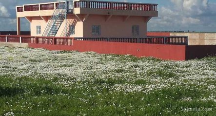 Ferme cloturée de 4 hectare à 60 Km de CASABLANCA
