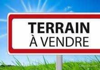 Terrain de 1 hectare à kénitra