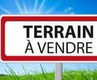 terrain de 1 hectare à kénitra