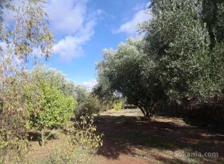 Terrain a vendre