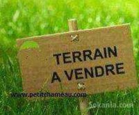 lot de terrain agricole à vendre sur Assaila