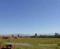 terrain a agricole