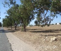 terrain agricole 32020m2 route ouled frej eljadida
