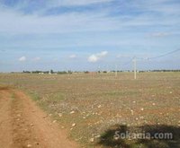 terrain agricole 22000m2 à 15km d'el jadida