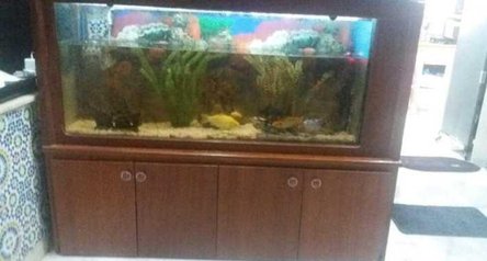 Aquarium