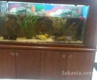 aquarium